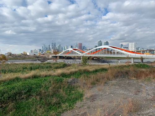 Port Lands Flood Protection & Enabling Infrastructure